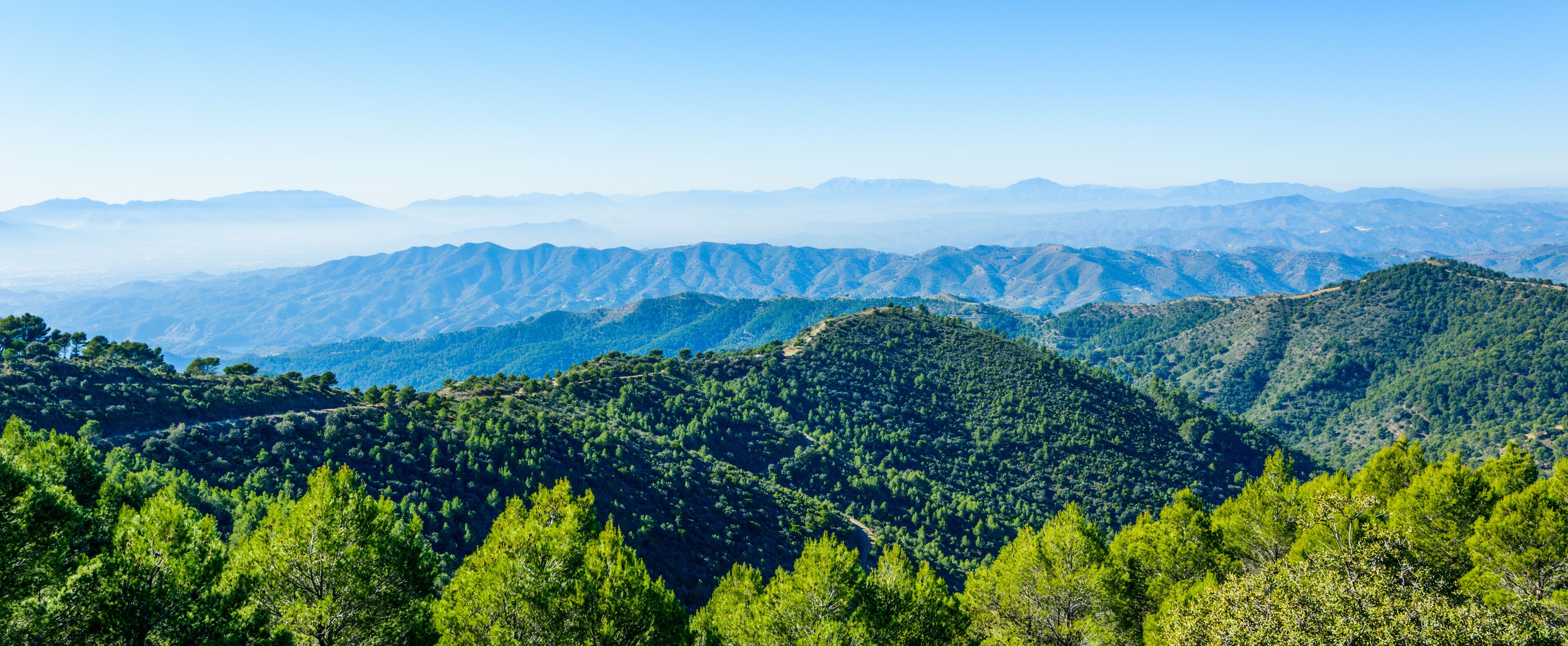 Parque Natural de los Montes de Malaga, Andalusia, Spain, Europe