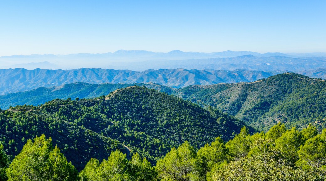 Montes de Malaga 自然公園
