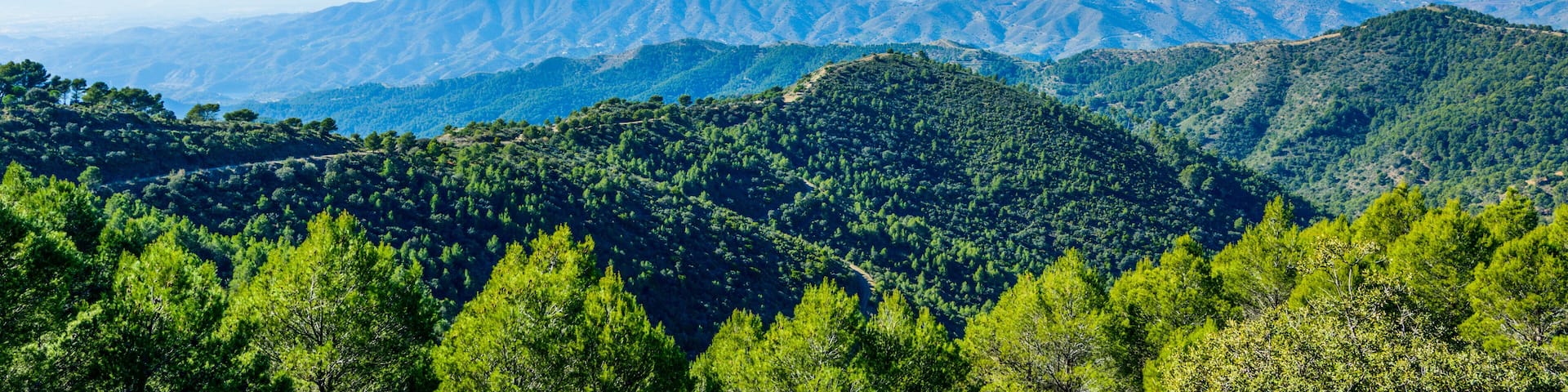 Parque Natural de los Montes de Malaga, Andalusia, Spain, Europe