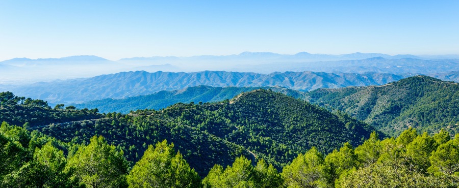 Parque Natural de los Montes de Malaga, Andalusia, Spain, Europe