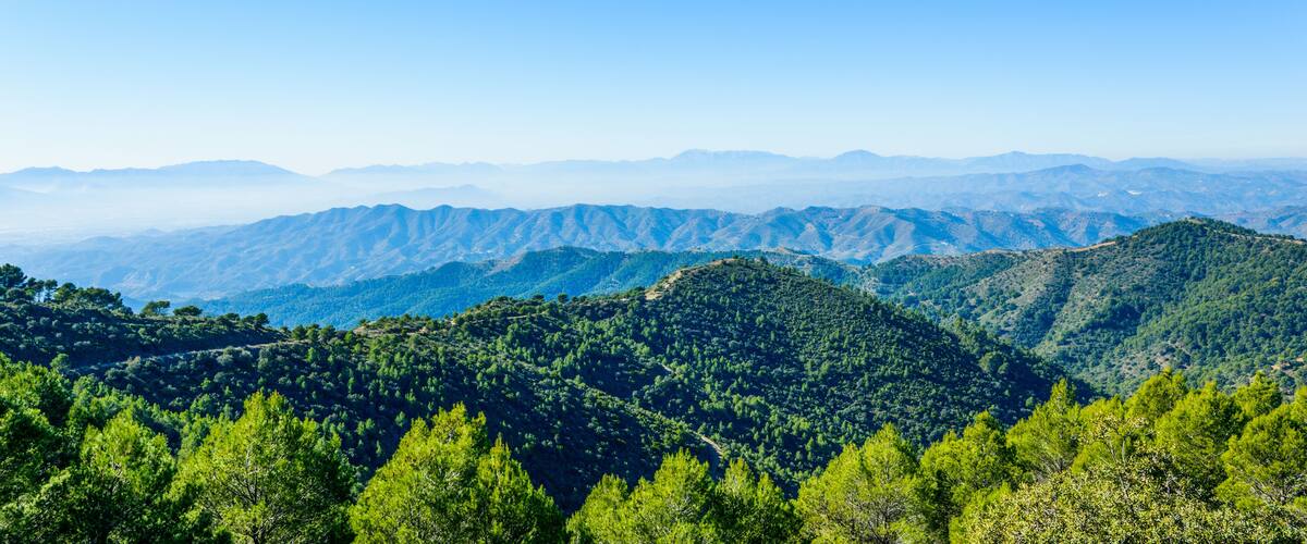 A mountainous landscape with dense forests and a clear sky.