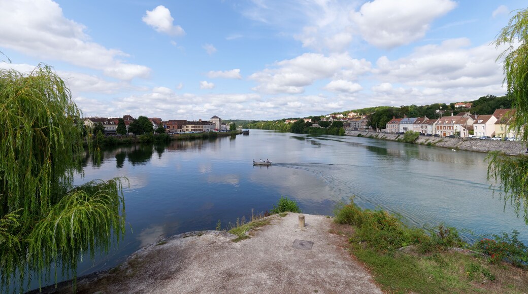 Seine and Yonne river in Montereau-Fault-Yonne city