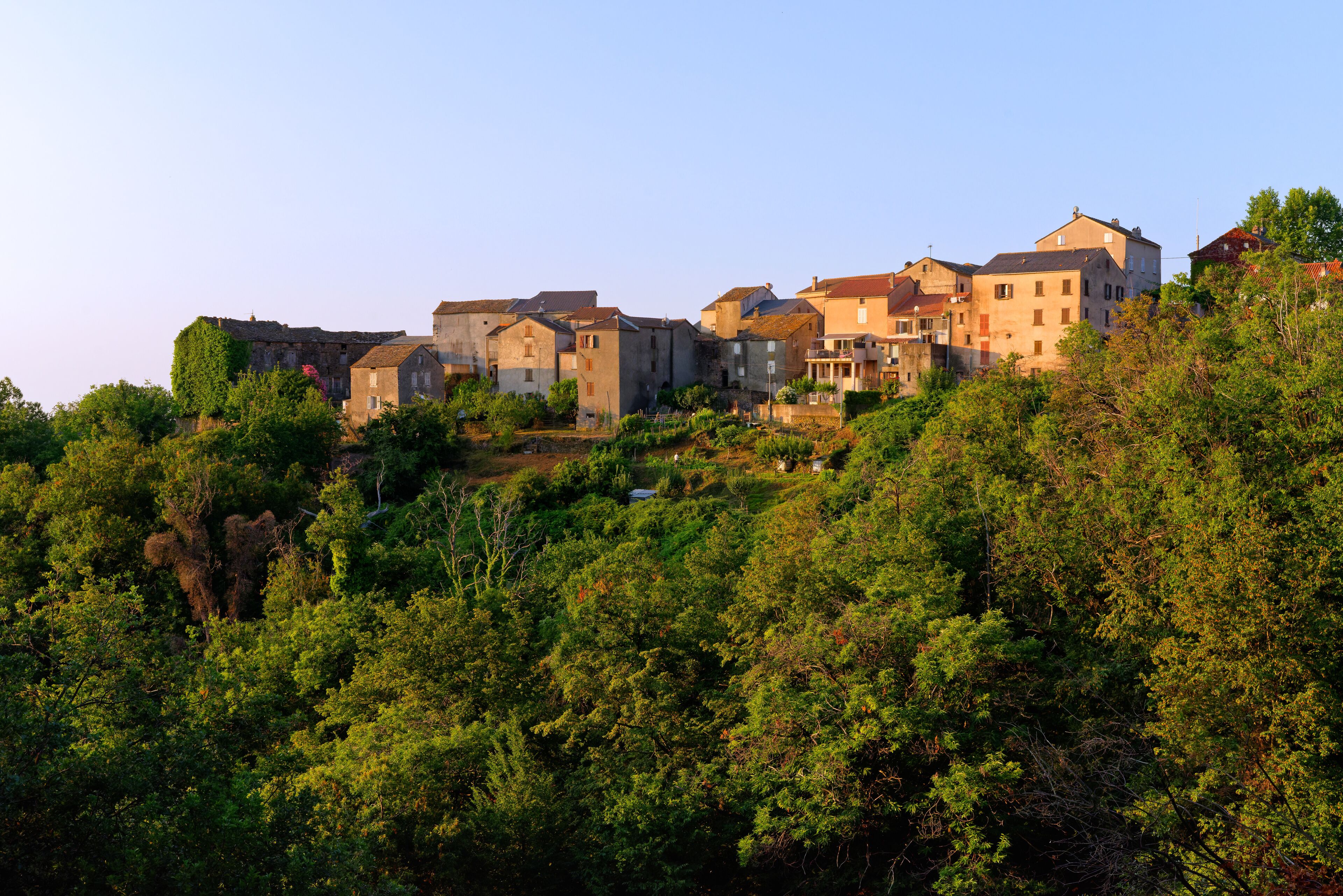 A hillside village with historic buildings and dense green foliage.