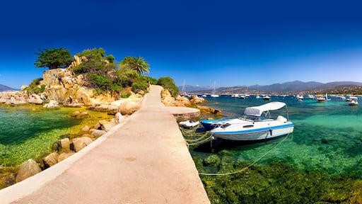 Corsica island with palm trees, tourquise clear water and yacht
