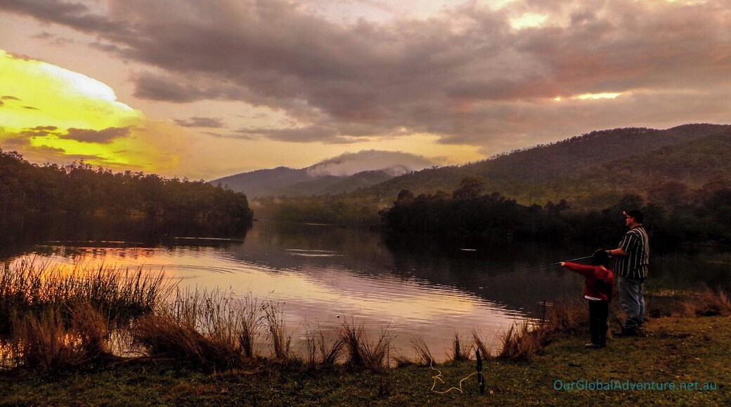 Wadbilliga National Park and Upper Brogo has some of the most spectacular scenery in NSW. Mountains, rivers and streams, with great Bass fishing, 4WDing and camping, topped off with the best of Australian wildlife.