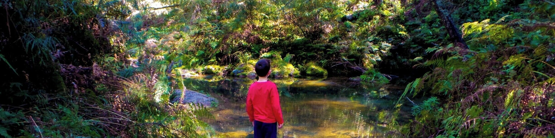 Wadbilliga National Park and Upper Brogo has some of the most spectacular scenery in NSW. Mountains, rivers and streams, with great Bass fishing, 4WDing and camping, topped off with the best of Australian wildlife. #NationalPark