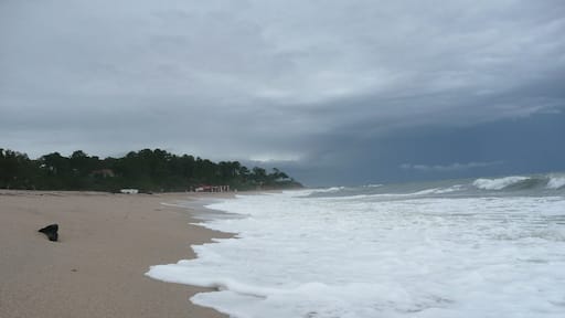 Rainy day in Solenzara