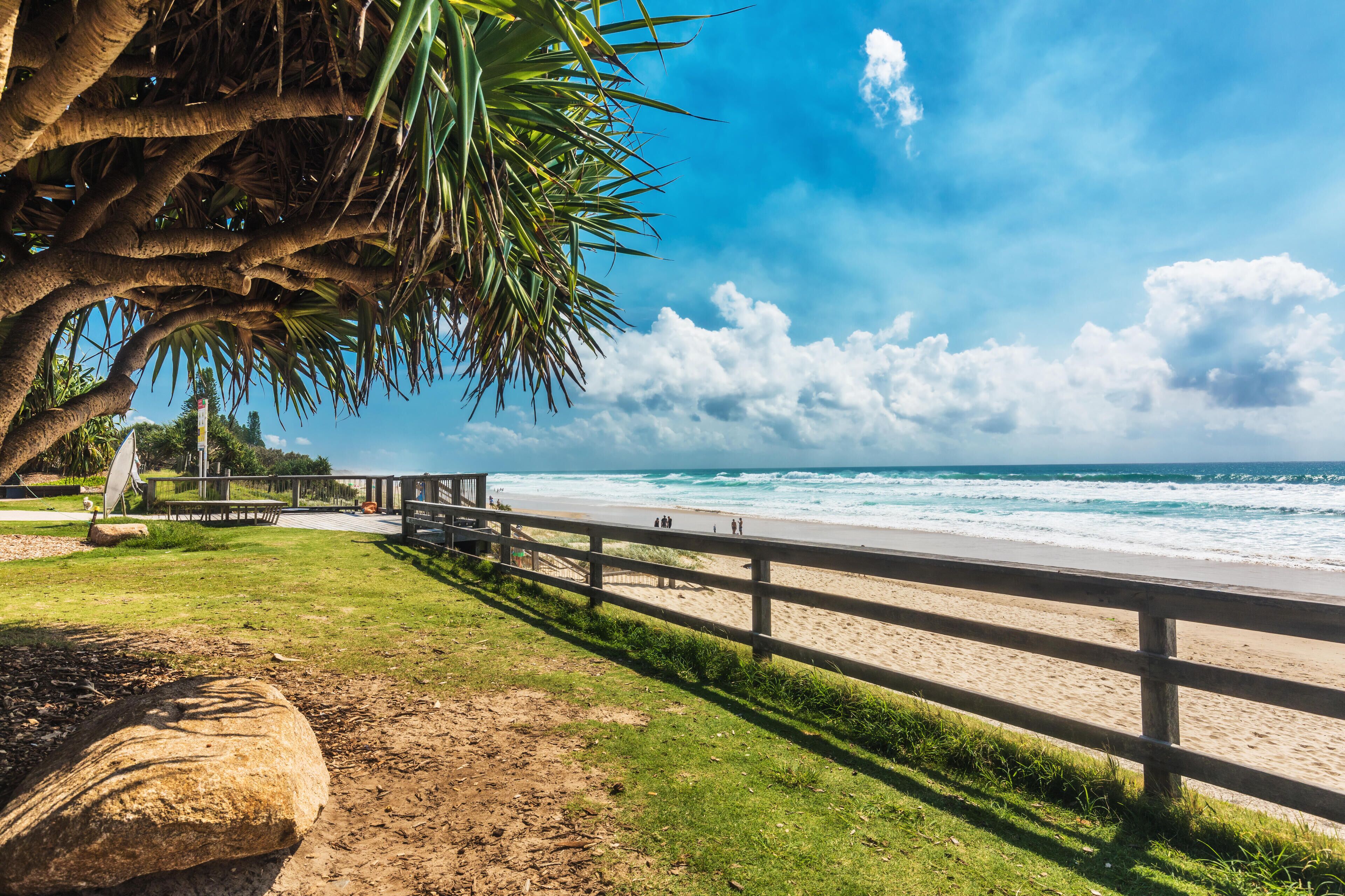 A beach with a wooden fence, palm trees, and ocean waves.
