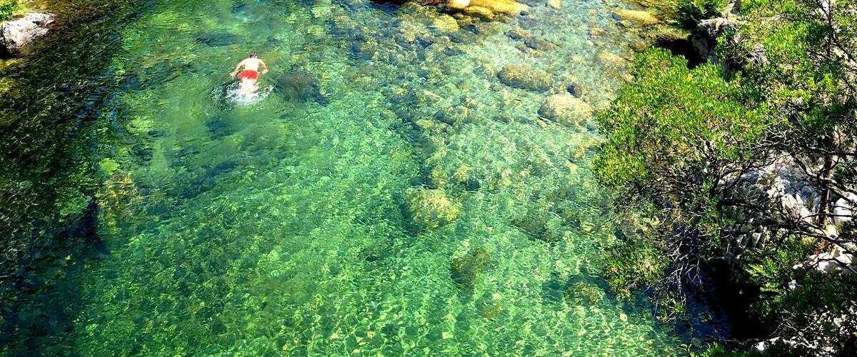 A clear mountain stream surrounded by lush greenery and rocky terrain.