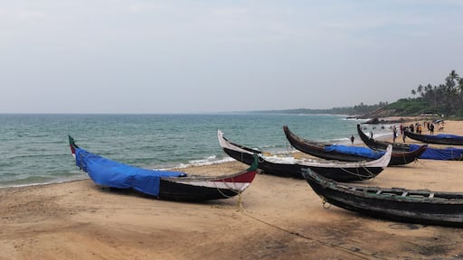 Fishing boats moored on the beach at Kovalam, Thiruvananthapuram, Kerala, India
