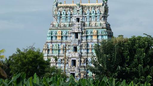 ์ฒด๋๋งํ๋ฐ๋น