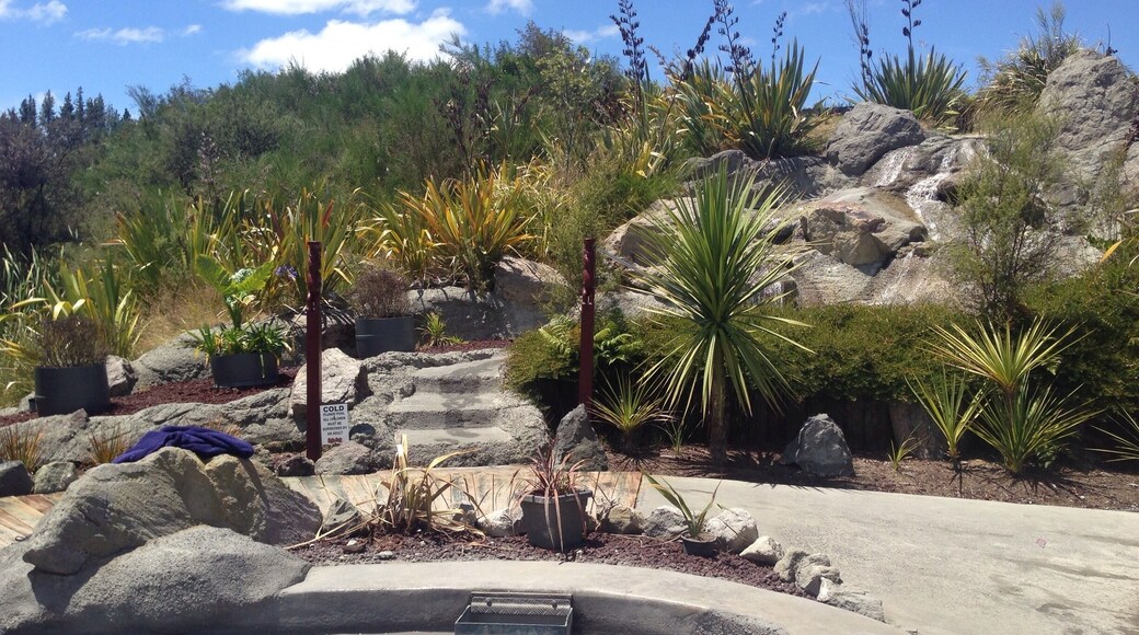 This place is awesome! Hells Gate mud pools an Sulphur baths. A really great relaxing day just covering yourself in mud and then relaxing in the hot pools after. Just remember to take your sun glasses and don't get the mud in your eye!!