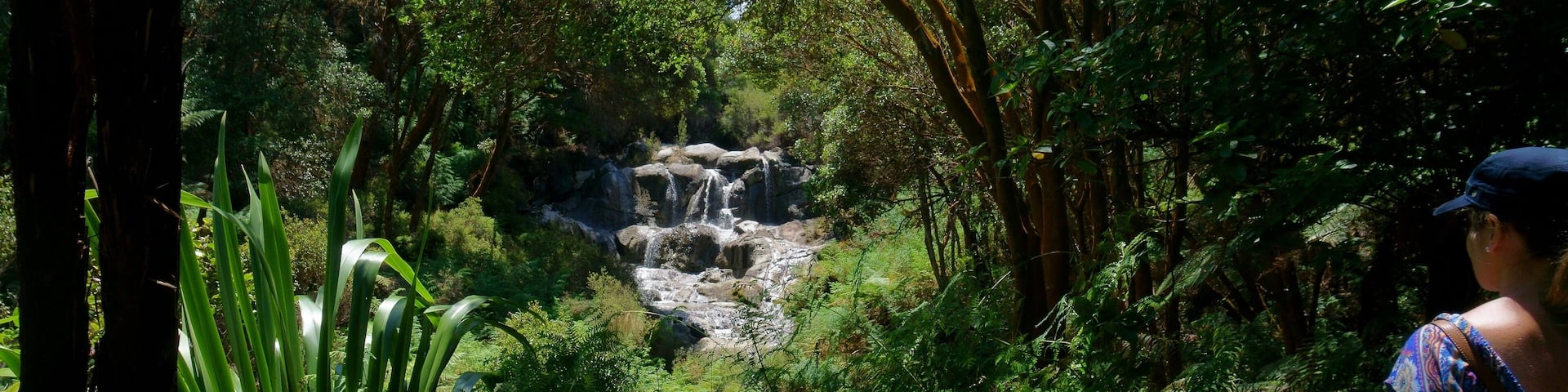 Kakahi falls is the largest hot water falls in the Southern Hemisphere. #newzealand #geothermal #waterfalls #rotorua #hellsgate