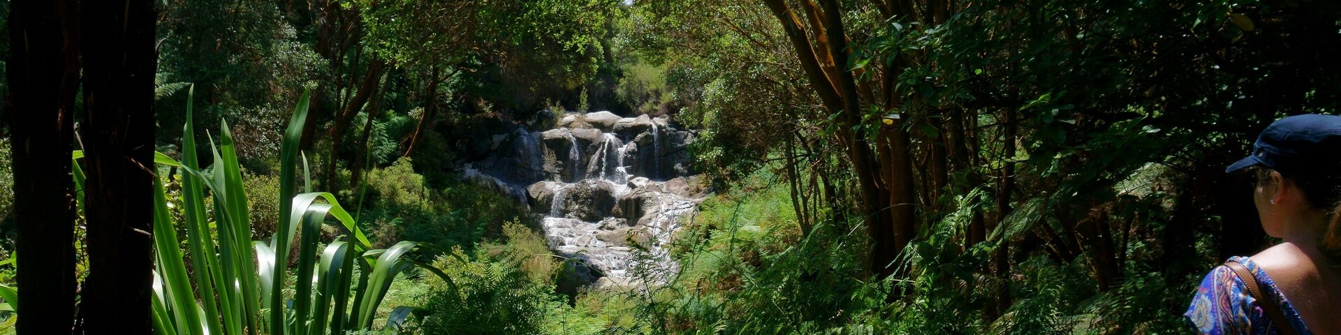 Kakahi falls is the largest hot water falls in the Southern Hemisphere. #newzealand #geothermal #waterfalls #rotorua #hellsgate