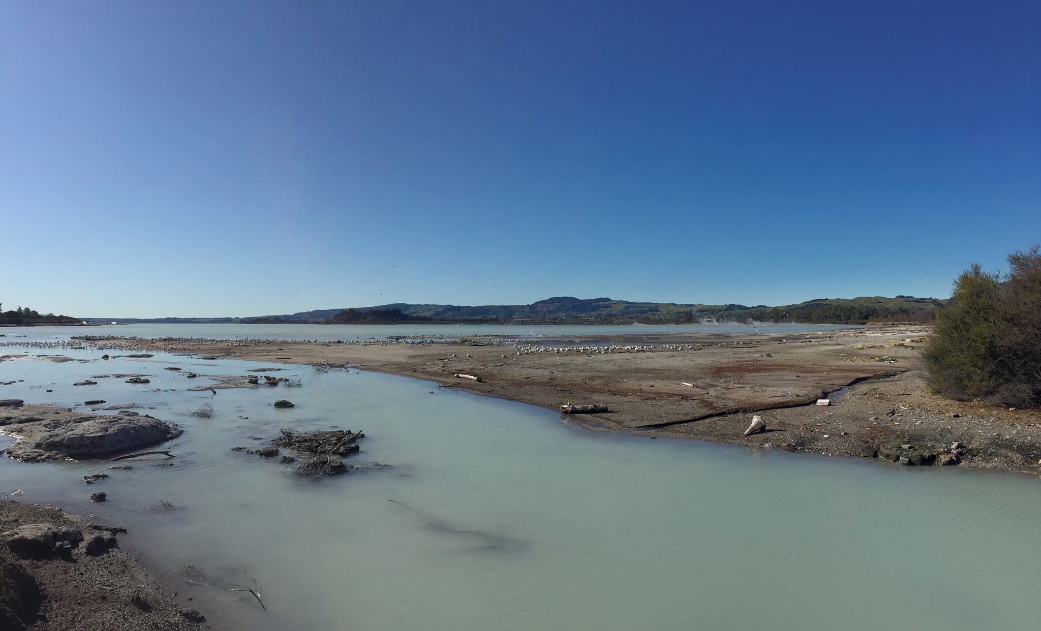 Murky sulphur water on the edge of Lake Rotorua