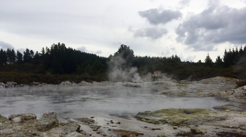 This place was interesting. If you've never seen geothermal activity before it's super interesting. Huge area that takes about an hour to walk. I still liked wai-o-tupo "better", if I had to pick one... But they both are very different and it was pretty cool to see all the bubbling mud. And if your already there to soak in the mud and use the spa, checking out the grounds in a no brainer