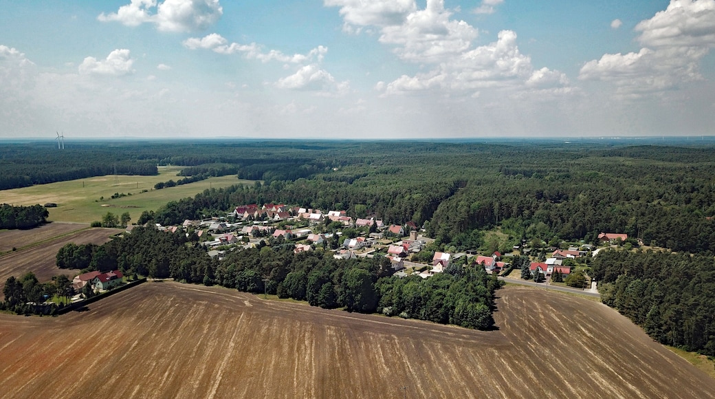Torno Southern part (Lauta, Saxony, Germany)