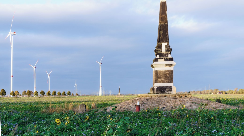 This media shows the protected monument of Saxony with the ID 08959102 KDSa/08959102(other).