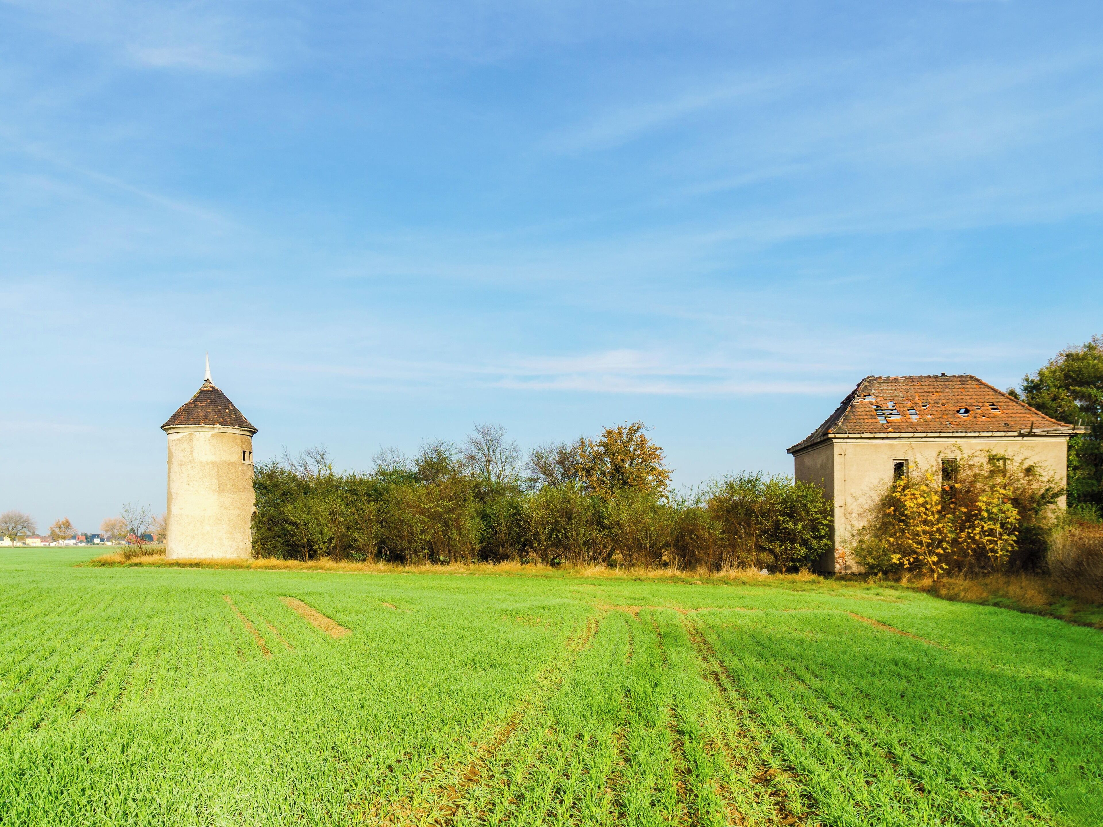 This media shows the protected monument of Saxony with the ID 08959101 KDSa/08959101(other).