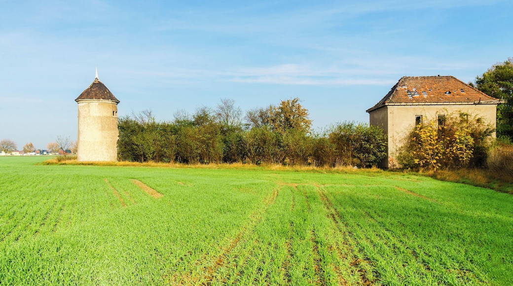 This media shows the protected monument of Saxony with the ID 08959101 KDSa/08959101(other).