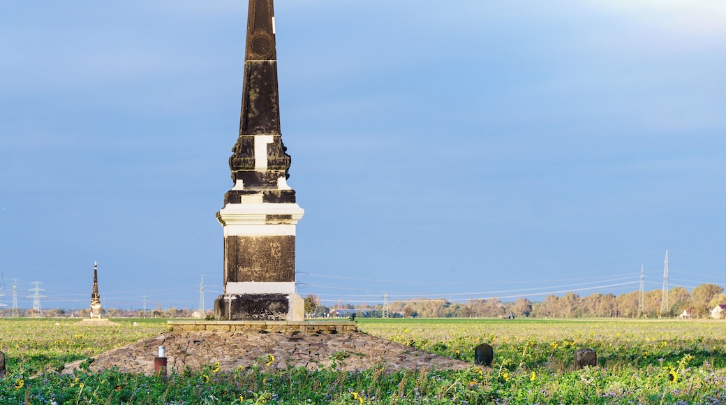 This media shows the protected monument of Saxony with the ID 08959102 KDSa/08959102(other).