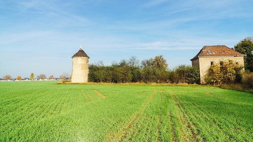 This media shows the protected monument of Saxony with the ID 08959101 KDSa/08959101(other).