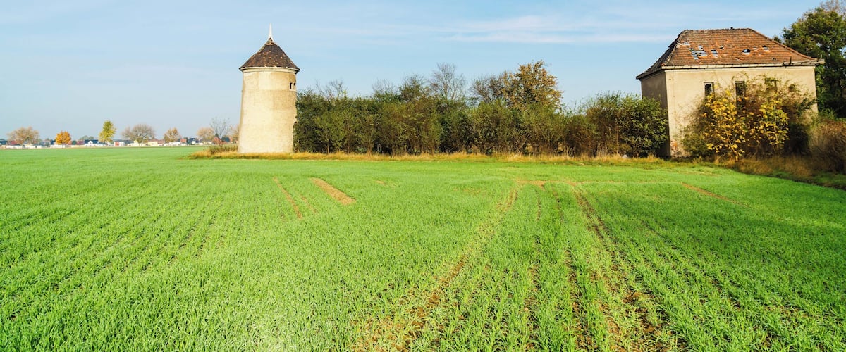 A green field with a tower and a building.