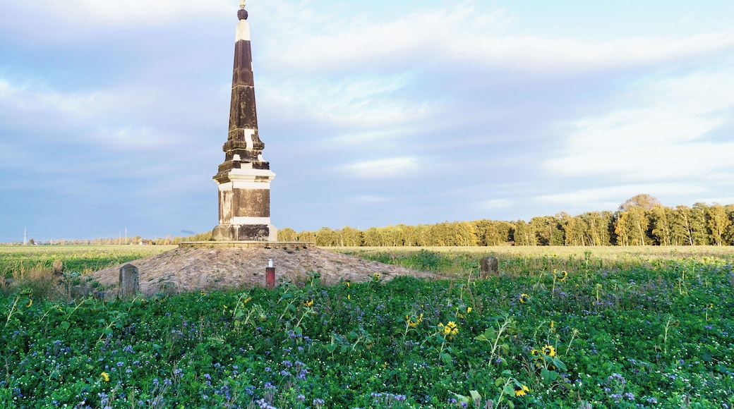 This media shows the protected monument of Saxony with the ID 08959102 KDSa/08959102(other).