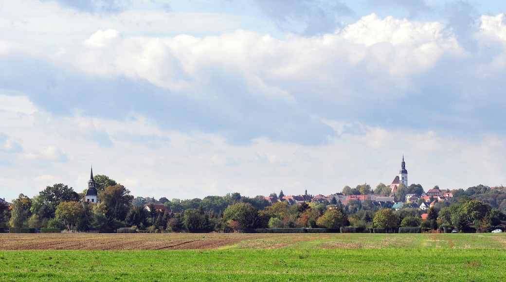 View over Lorenzkirch (Zeithain, Saxony, Germany) to Strehla (in the background).