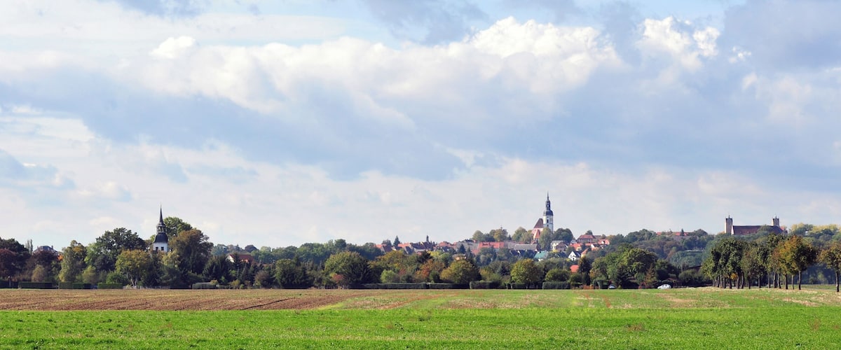 A rural landscape with fields, trees, and a distant town with a church tower.