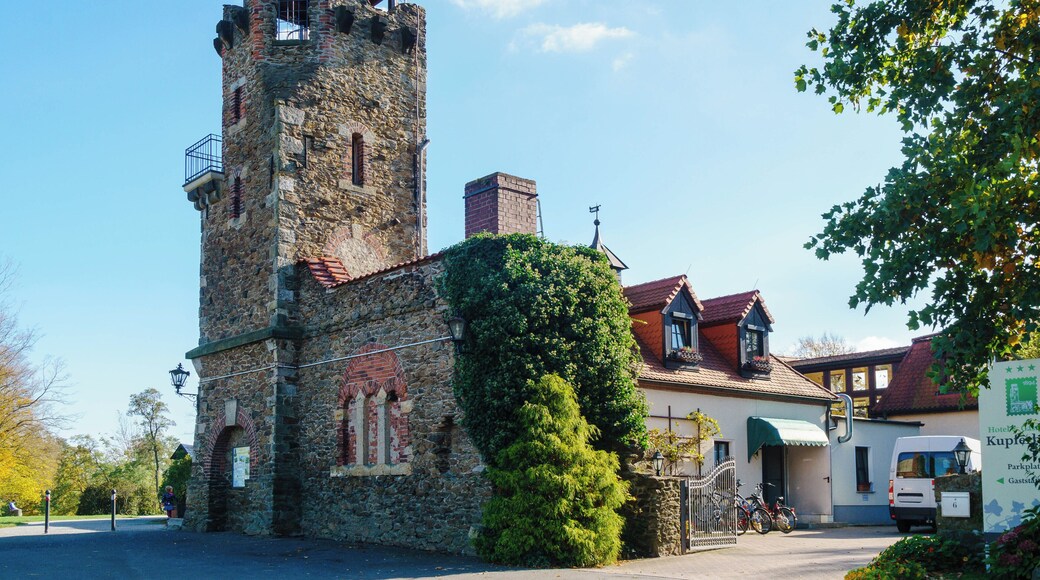 This media shows the protected monument of Saxony with the ID 08958363 KDSa/08958363(other).