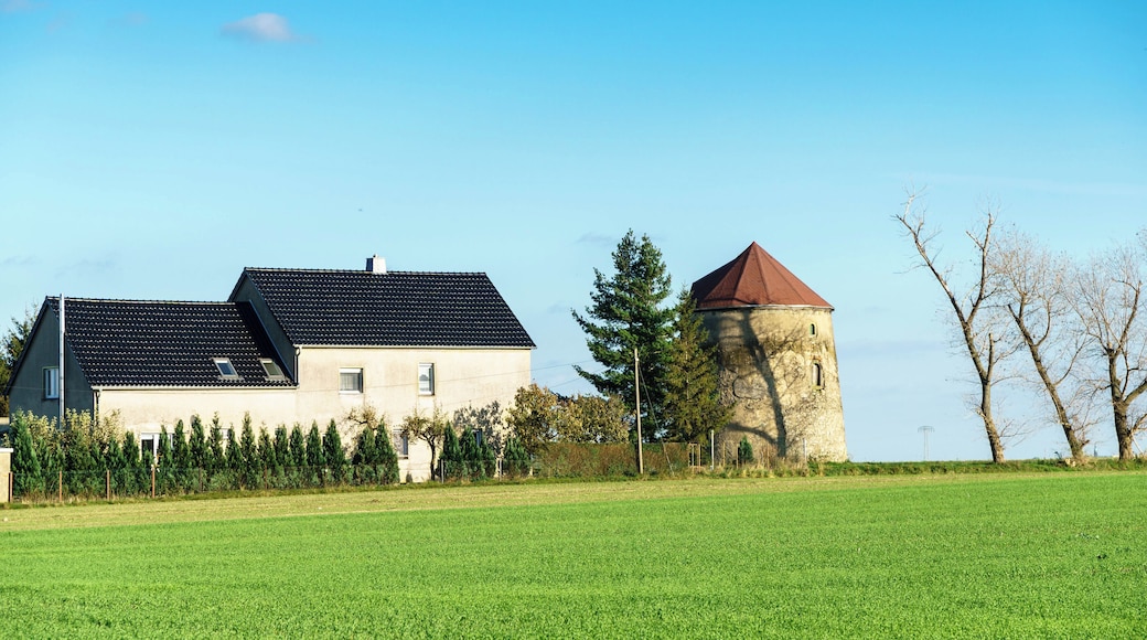 This media shows the protected monument of Saxony with the ID 08958855 KDSa/08958855(other).