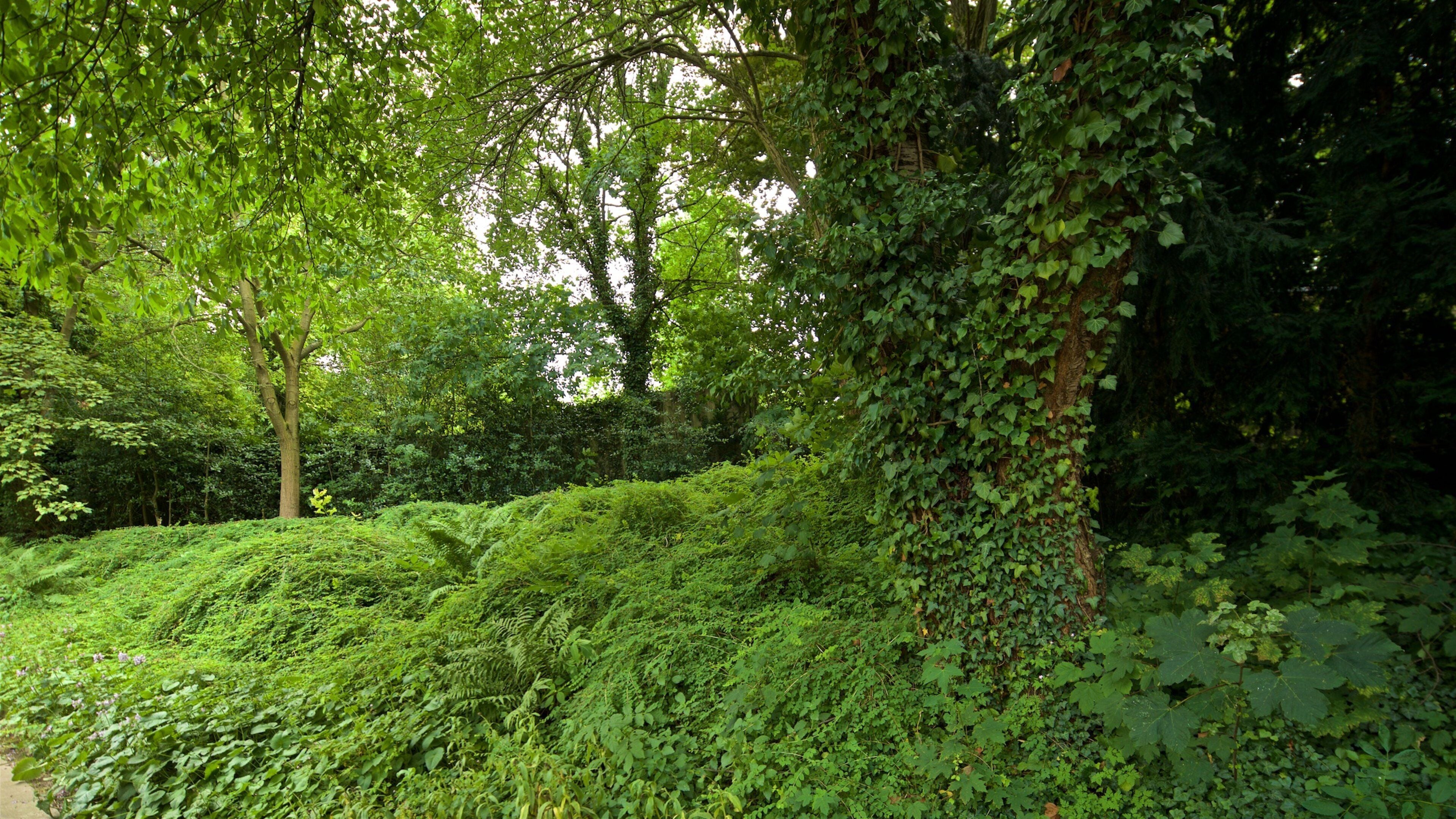 Goslar Imperial Palace showing a garden
