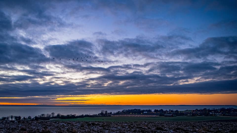 A sunset over a body of water with a flock of birds flying across the sky.