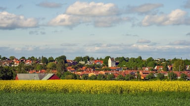 View over Glumslov in Skane, Sweden.
