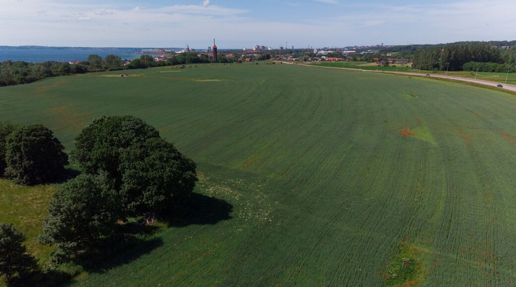 Aerial view of a field filled with poppy flowers in full bloom with the small village of Råå, Sweden in the background.