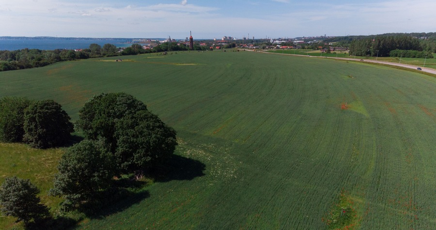 Aerial view of a field filled with poppy flowers in full bloom with the small village of Råå, Sweden in the background.