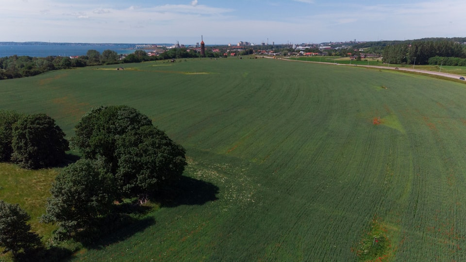 A large green field with a few trees and a distant view of a town with buildings and a tower.