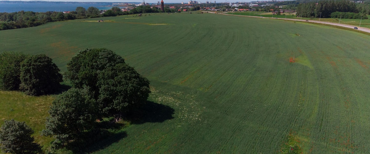 A large green field with a few trees and a distant view of a town with buildings and a tower.