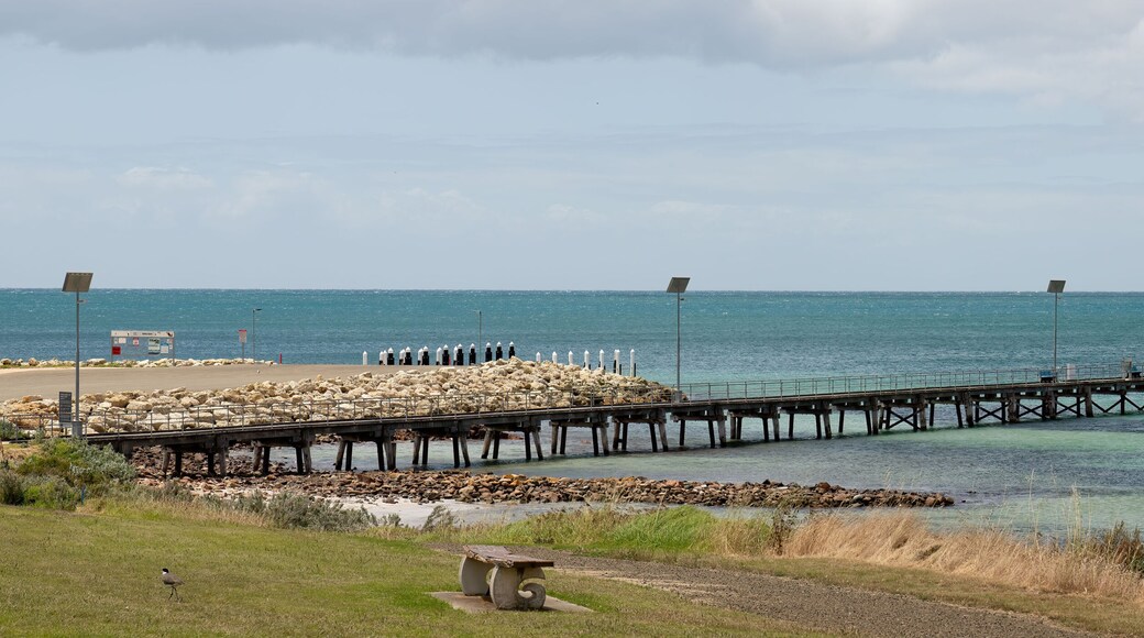 Emu Bay