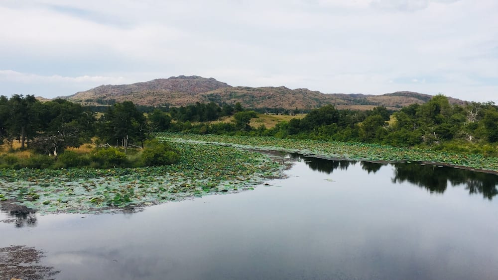 A calm lake surrounded by lush greenery and distant hills.