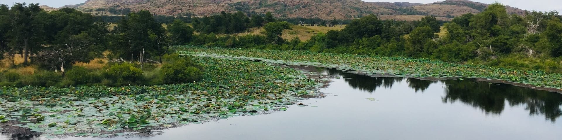 Beautiful nature preserve. A lot of out door activities and sites to see.