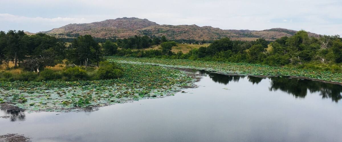 A calm lake surrounded by lush greenery and distant hills.