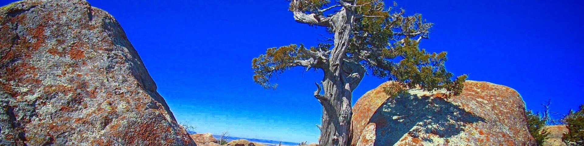 There is a beautiful trail all the way up this mountain and once on top you can explore to your heart's content.