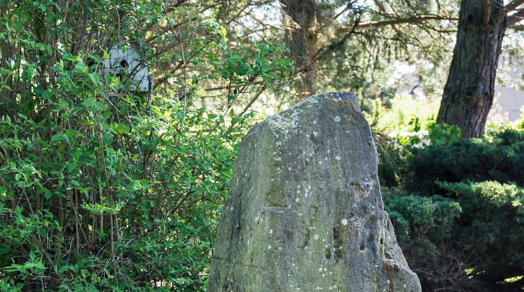 This media shows the protected monument of Saxony with the ID 08959259 KDSa/08959259(other).