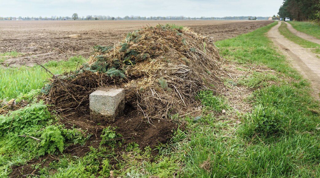 Neu aufgestellter Läuferstein Nr. XX zwischen Grenzstein 195 und 196 der Historische Landesgrenze Königreich Sachsen Königreich Preußen 1815 (Wiener Kongress)