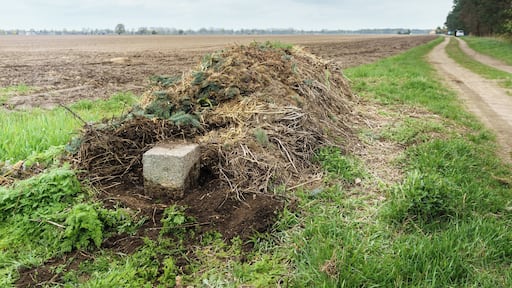 Neu aufgestellter LĂ€uferstein Nr. XX zwischen Grenzstein 195 und 196 der Historische Landesgrenze Königreich Sachsen Königreich PreuĂen 1815 (Wiener Kongress)