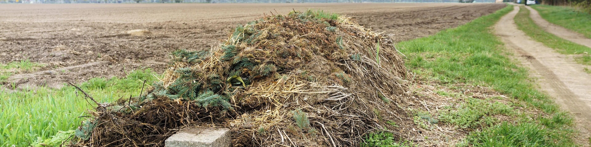 Neu aufgestellter Läuferstein Nr. XX zwischen Grenzstein 195 und 196 der Historische Landesgrenze Königreich Sachsen Königreich Preußen 1815 (Wiener Kongress)