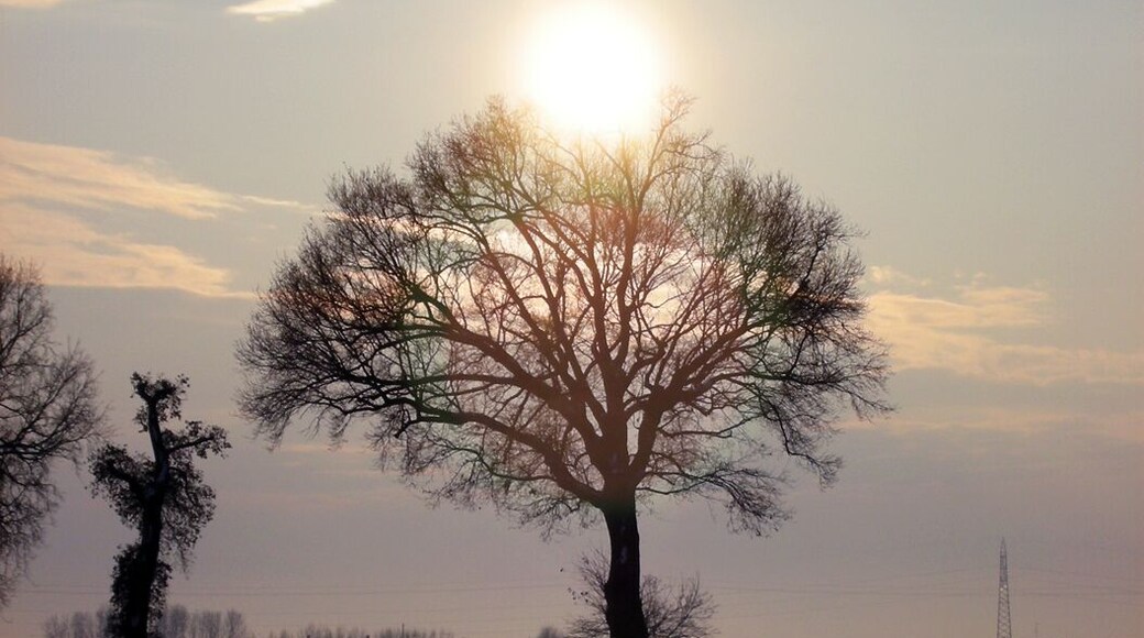 Padulle, neve sui campi