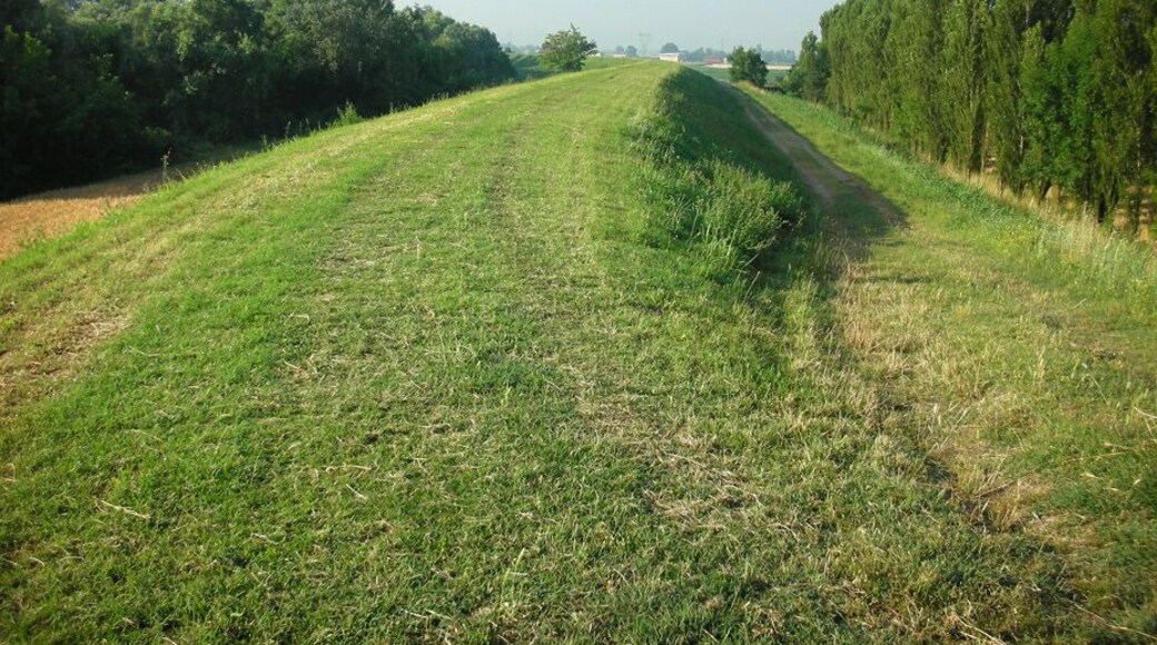 Porzione di argine del Reno